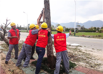 去需要yl23455的地方