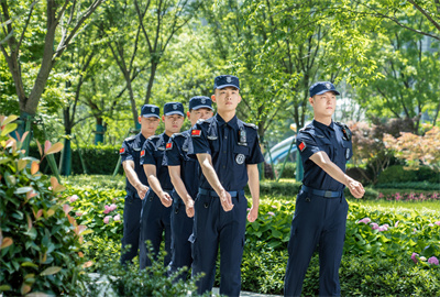 专业专心，竭诚服务